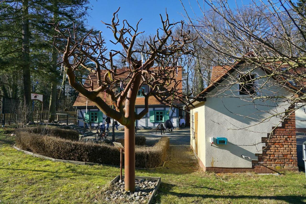 Ferienwohnung 3 - Gourmetzimmer Bestensee Kültér fotó